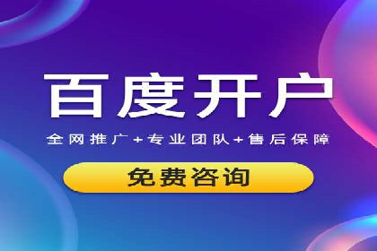 百度平台推广策略及成功案例解析